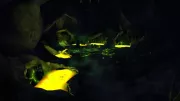 Teaser Bild von WoW: So wunderschön sind die Verheerten Inseln bei tiefster Nacht!