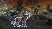 Teaser Bild von WoW: Maelie-Mount-Rätsel zu knifflig - WoW-Devs helfen den Spielern