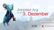 Teaser Bild von Argi schon bald im Haustiershop von Blizzard