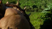 Teaser Bild von Erneute Versteigerung von Requisiten des Warcraft-Films am 1. Juli!
