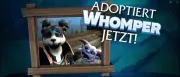 Teaser Bild von WoW: Whomper, das neue Charity-Haustier im BlizzCon-Video