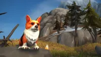 Teaser Bild von WoW: Überjustierte Corgibrille als Geschenk für den 14. Geburtstag von WoW