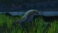 Teaser Bild von WoW: Neue Glyphen für Reisegestalten der Druiden in Battle for Azeroth
