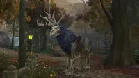 Teaser Bild von WoW: Kul Tiraner - Das sind die einzigartigen Druiden Reiseformen