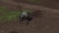 Teaser Bild von WoW: Haustier Hummelbummel - So funktioniert der Flotte Biene Erfolg
