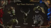 Teaser Bild von WoW: Alle Druidenformen der Kul Tiraner im Überblick