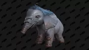 Teaser Bild von WoW: Bei einer kurzen Questreihe in Dragonflight wird man mit dem Elefanten Hupe als Haustier belohnt