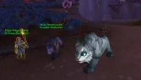 Teaser Bild von WoW: The War Within: Guide zur Freischaltung des Baby-Luchs Vanilla in WoW