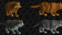 Teaser Bild von WoW: Diese Kreaturen erhalten mit Battle for Azeroth ein HD-Upgrade (Galerie)