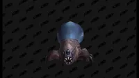 Teaser Bild von WoW: Kroggbaby und Aufziehfrosch - neue Alchemie-Pets bereit für den Haustierkampf