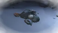 Teaser Bild von WoW: Ein Herz für Sammler - Nordend (Teil 4/10)