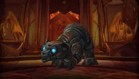 Teaser Bild von WoW Patch 8.3: So holt ihr euch alle neuen Haustiere! (Guide)