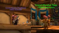 Teaser Bild von WoW Classic: Spieler auf dem Weg zum 3. Rang-14-Charakter