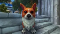 Teaser Bild von WoW: Wie die Überjustierte Corgibrille beim Pre-Event helfen kann