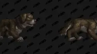 Teaser Bild von WoW: So rettet ihr das zurückgelassene Hündchen auf der Sireneninsel