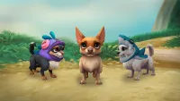 Teaser Bild von WoW bekommt sein allererstes anpassbares Haustier - das müsst ihr dafür tun