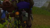 Teaser Bild von WoW: Um diese Jobs beneiden wir die NPCs in Azeroth - Bewerbung ist raus!