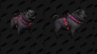 Teaser Bild von WoW: Von Käuzchen bis Mops - diese niedlichen Pets erwarten euch in Legion-Remix