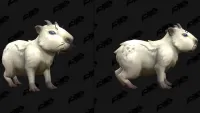 Teaser Bild von Süße Wasserschweine in WoW: Midnight - so niedlich kann ein Loa sein
