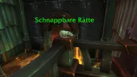 Teaser Bild von Erfolgsguide: Rattenstarke Freunde – Patch 11.1