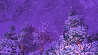 Teaser Bild von WoW: Die Schneeeule ist seit einigen Tagen wieder da