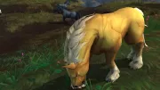 Teaser Bild von Shadowlands: Ein besonderes zähmbares Pferd für Allianz-Jäger