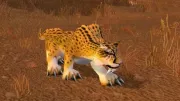 Teaser Bild von Patch 9.1: Eine neue Sprunganimation für die Gepardengestalt