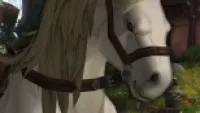 Teaser Bild von Battle for Azeroth - Die Pferdeshow der Norwinsens mit vielen Pferden!