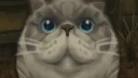 Teaser Bild von Battle for Azeroth - Weitere neue Haustiere in der Übersicht
