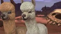 Teaser Bild von Dotty  - Das World of Warcraft Charity-Haustier 2019