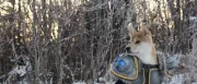 Teaser Bild von WoW: Vox the Dog - der neue Cosplay König