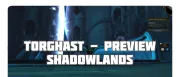 Teaser Bild von WoW: WoW Shadowlands: DPS-Ranking für Torghast