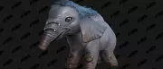 Teaser Bild von WoW: Bei einer kurzen Questreihe in Dragonflight wird man mit dem Elefanten Hupe als Haustier belohnt