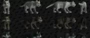 Teaser Bild von WoW: Battle for Azeroth - Auch Titanen lieben Katzen: Neue NPCs und Katzenmodelle