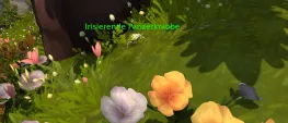Teaser Bild von Spielzeugguide | Hannas Medaillon
