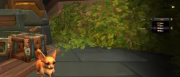 Teaser Bild von Das erste anpassbare Haustier kommt mit Patch 11.1.5!
