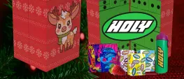 Teaser Bild von Ho-Ho-Holy Adventskalender 🎁