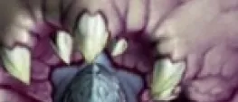 Teaser Bild von Guide zum Weltboss Kriegstreiber Yenajz