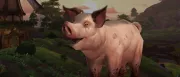 Teaser Bild von Das Jahr des Schweins - So sieht das neue Shop-Mount aus!