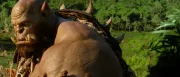 Teaser Bild von Auktion läuft -  Ergattert Requisiten des Warcraft-Films bis zum 13. Juli